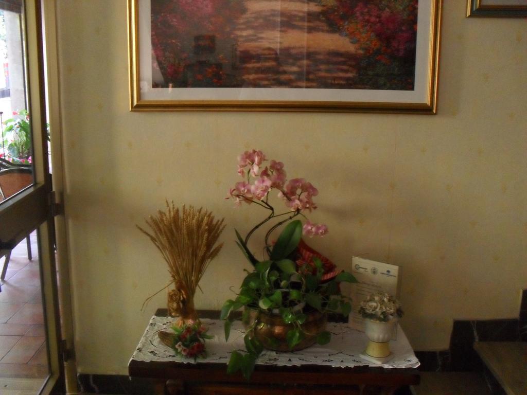 أبّادييا سان سالفاتور Albergo Ristorante Olimpia المظهر الخارجي الصورة
