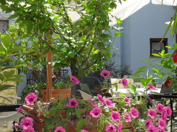 أبّادييا سان سالفاتور Albergo Ristorante Olimpia المظهر الخارجي الصورة